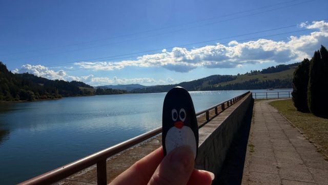 Hand-painted penguin stone #1380 hidden at Platform Elektrownia Wodna Niedzica, Niedzica, Poland (photo 4 of 5)