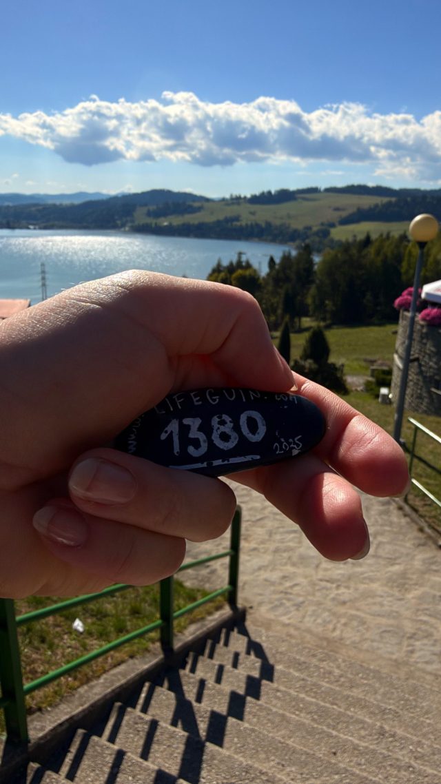 Hand-painted penguin stone #1380 hidden at Platform Elektrownia Wodna Niedzica, Niedzica, Poland (photo 5 of 5)