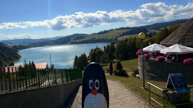 Hand-painted penguin stone #1380 hidden at Platform Elektrownia Wodna Niedzica, Niedzica, Poland
