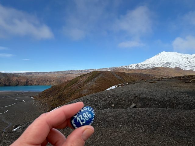 Hand-painted penguin stone #1386 hidden at Lower Tama Lake, Tongariro National Park, New Zealand (photo 2 of 5)