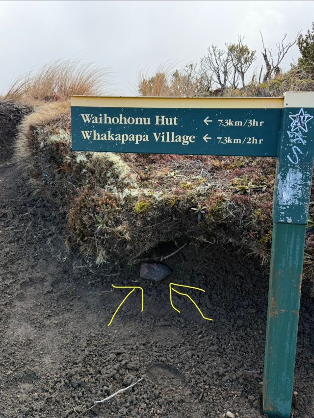 Hand-painted penguin stone #1386 hidden at Lower Tama Lake, Tongariro National Park, New Zealand (photo 4 of 5)