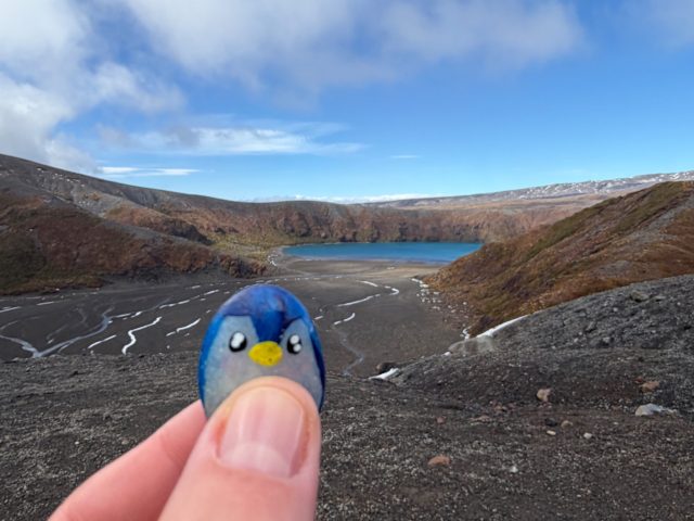 Hand-painted penguin stone #1386 hidden at Lower Tama Lake, Tongariro National Park, New Zealand