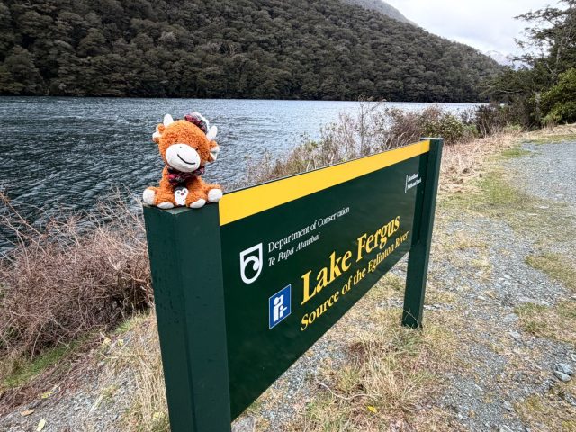 Hand-painted penguin stone #1389 hidden at Lake Fergus, Fiordland Community, New Zealand (photo 2 of 5)