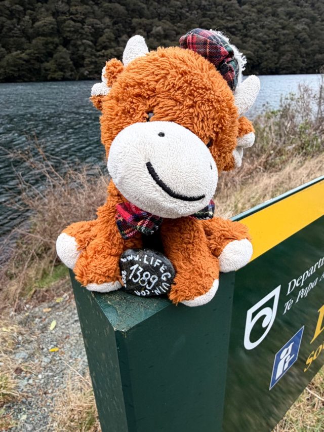 Hand-painted penguin stone #1389 hidden at Lake Fergus, Fiordland Community, New Zealand (photo 3 of 5)