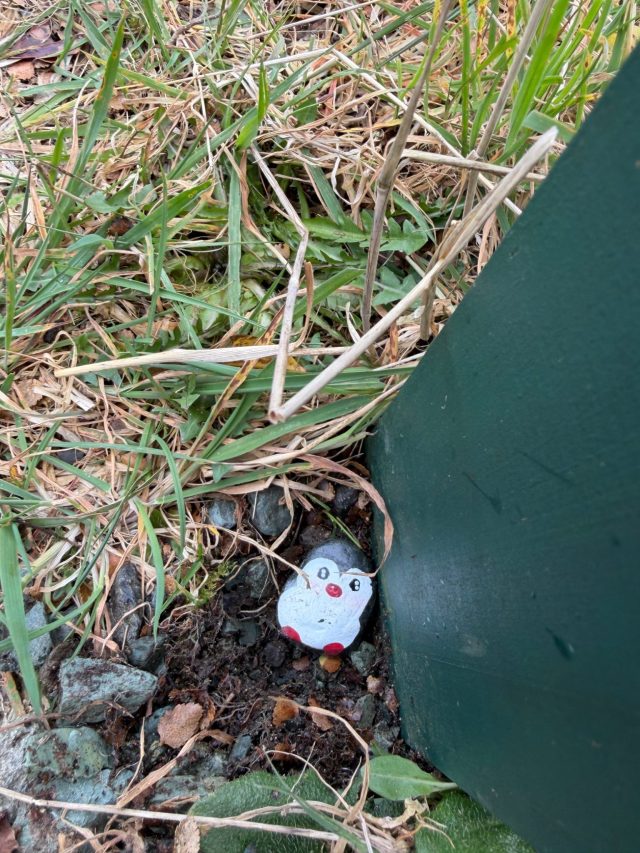 Hand-painted penguin stone #1389 hidden at Lake Fergus, Fiordland Community, New Zealand (photo 4 of 5)