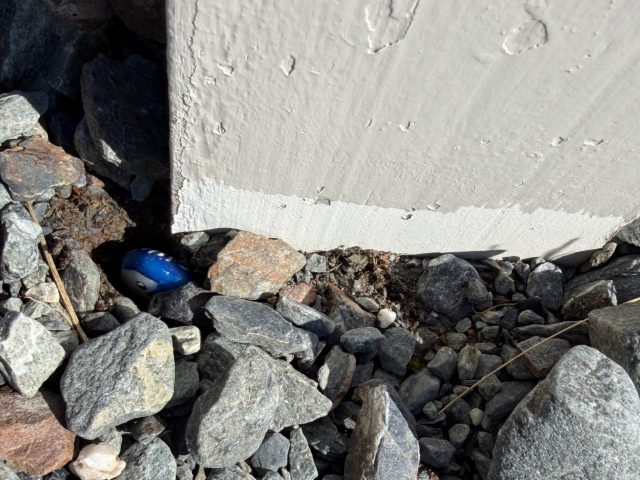 Hand-painted penguin stone #1390 hidden at Hooker Valley Track, Hooker Lake, New Zealand (photo 3 of 5)