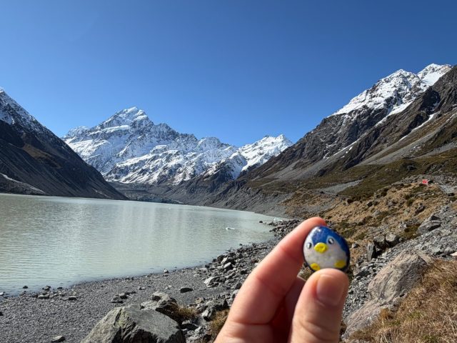 Hand-painted penguin stone #1390 hidden at Hooker Valley Track, Hooker Lake, New Zealand