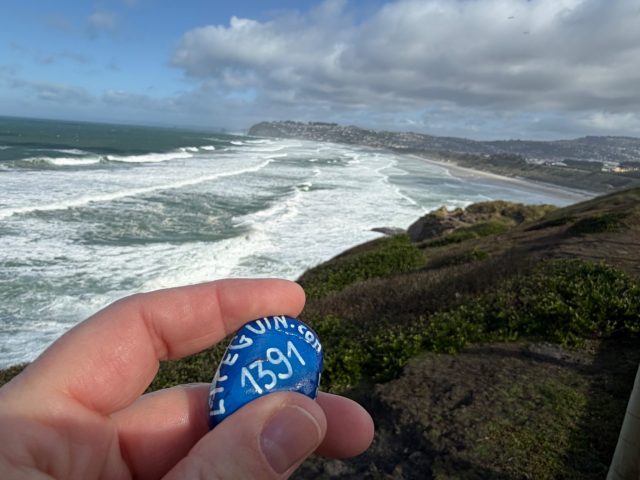 Hand-painted penguin stone #1391 hidden at Sir Leonard Wright Lookout, Dunedin, New Zealand (photo 2 of 5)
