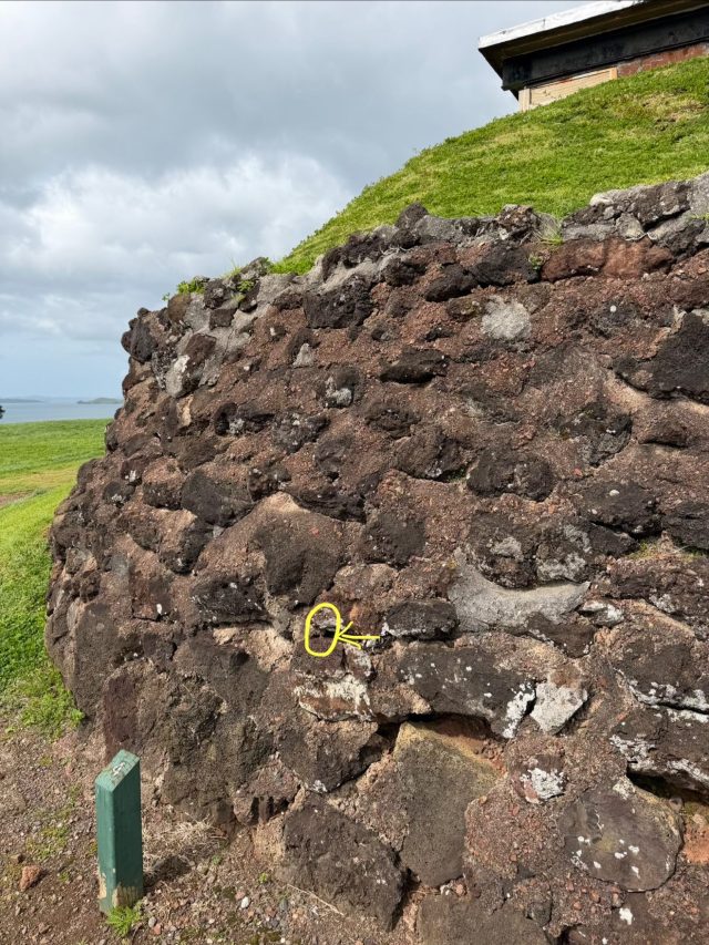 Hand-painted penguin stone #1395 hidden at Summit Battery (Fort Cautley), Devonport-Takapuna, New Zealand (photo 3 of 5)