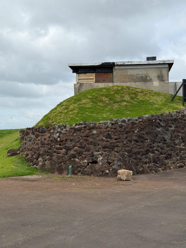 Hand-painted penguin stone #1395 hidden at Summit Battery (Fort Cautley), Devonport-Takapuna, New Zealand (photo 5 of 5)