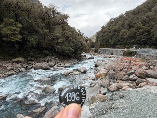 Hand-painted penguin stone #1396 hidden at Falls Creek, Fiordland Community, New Zealand (photo 2 of 4)