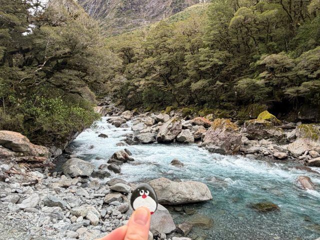 Hand-painted penguin stone #1396 hidden at Falls Creek, Fiordland Community, New Zealand