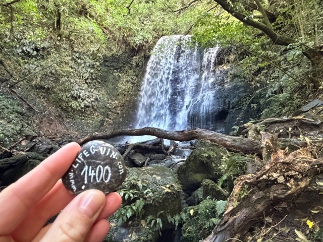 Hand-painted penguin stone #1400 hidden at Matai Falls, Caberfeidh, New Zealand (photo 2 of 5)