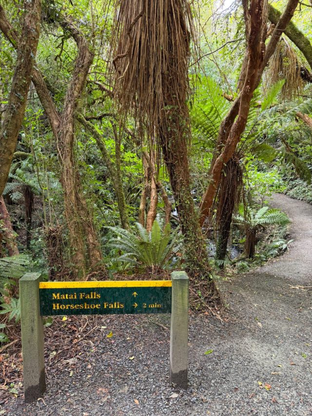 Hand-painted penguin stone #1400 hidden at Matai Falls, Caberfeidh, New Zealand (photo 3 of 5)
