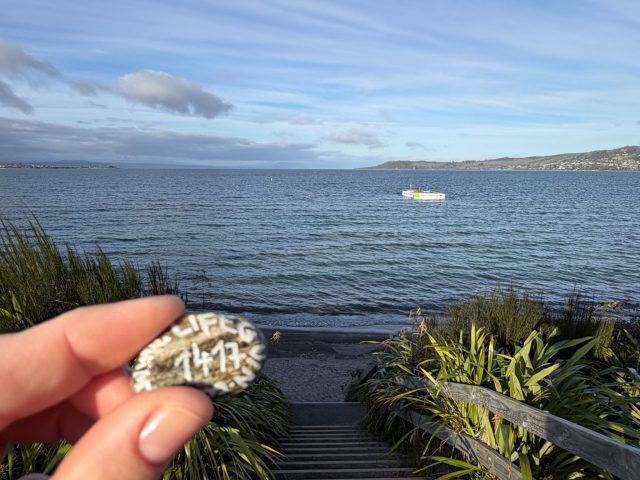 Hand-painted penguin stone #1417 hidden at Taupo Lake, Taupo, New Zealand (photo 2 of 5)