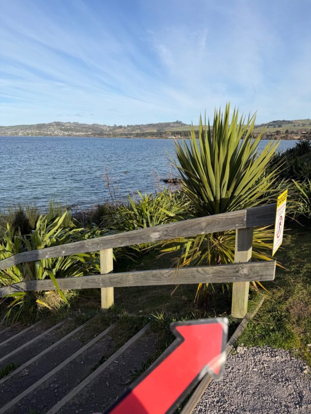 Hand-painted penguin stone #1417 hidden at Taupo Lake, Taupo, New Zealand (photo 3 of 5)