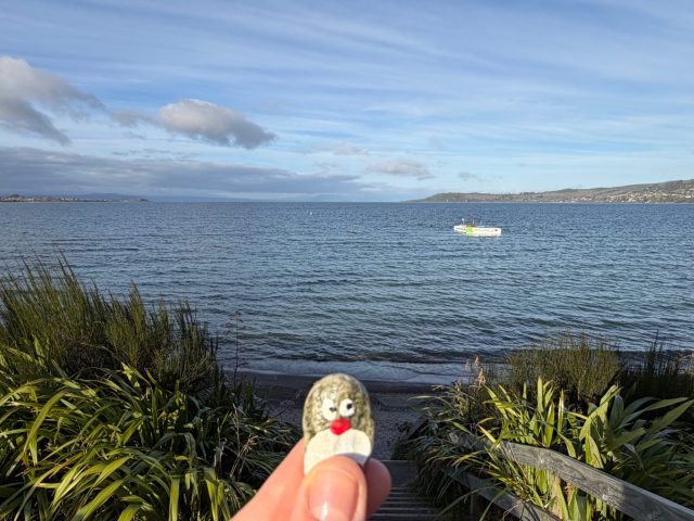 Hand-painted penguin stone #1417 hidden at Taupo Lake, Taupo, New Zealand