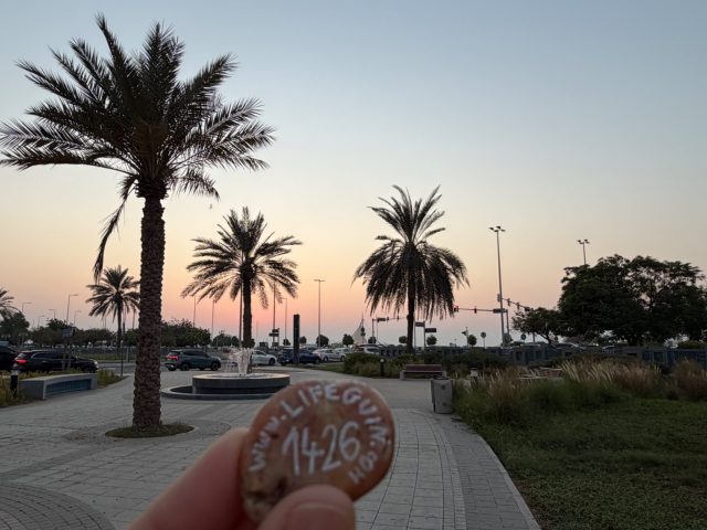 Hand-painted penguin stone #1426 hidden at Formal Park, Abu Dhabi, United Arab Emirates (photo 2 of 5)