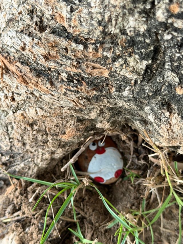 Hand-painted penguin stone #1426 hidden at Formal Park, Abu Dhabi, United Arab Emirates (photo 3 of 5)