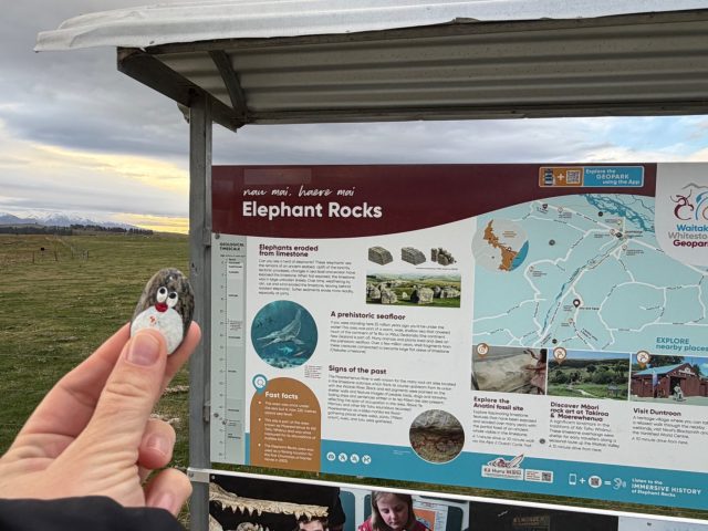 Hand-painted penguin stone #1427 hidden at Elephant Rocks, Island Cliff, New Zealand (photo 2 of 5)