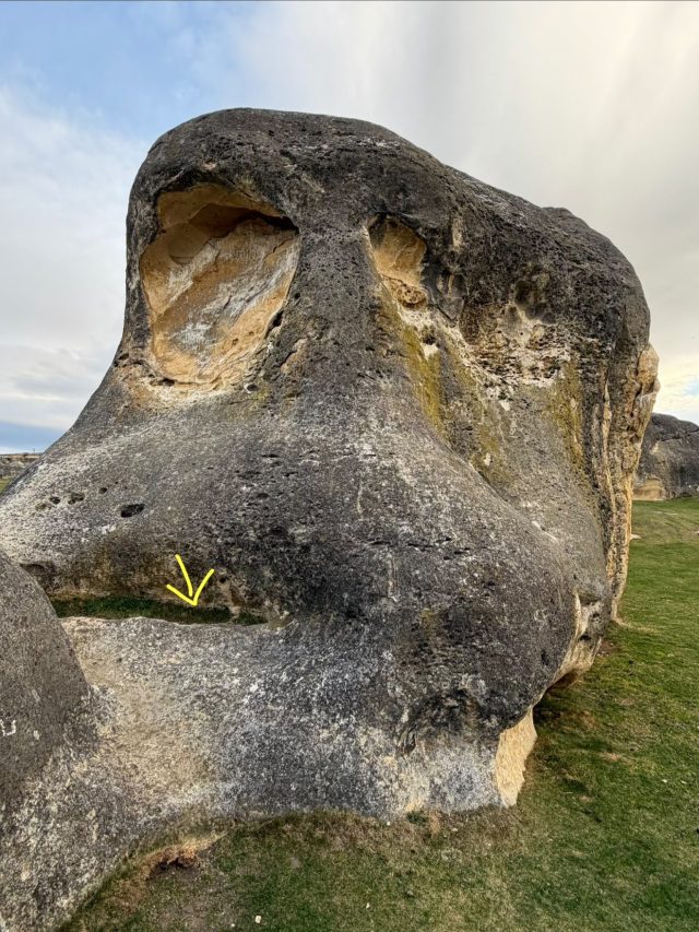 Hand-painted penguin stone #1427 hidden at Elephant Rocks, Island Cliff, New Zealand (photo 5 of 5)