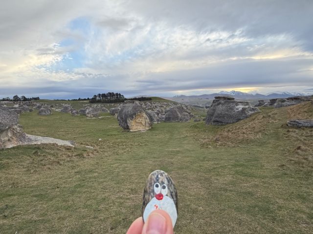 Ručne maľovaný tučniakový kameň č. 1427 ukrytý na mieste Elephant Rocks, Island Cliff, Nový Zéland