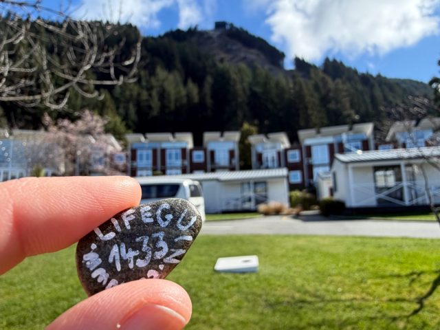 Hand-painted penguin stone #1433 hidden at Hampshire Holiday Parks, Queenstown, New Zealand (photo 2 of 5)