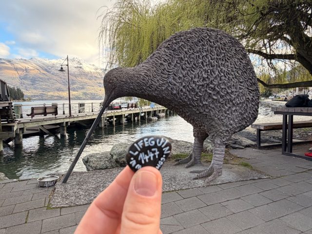 Hand-painted penguin stone #1447 hidden at Kiwi Statue, Queenstown, New Zealand (photo 2 of 5)