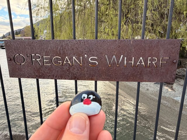 Hand-painted penguin stone #1447 hidden at Kiwi Statue, Queenstown, New Zealand (photo 3 of 5)