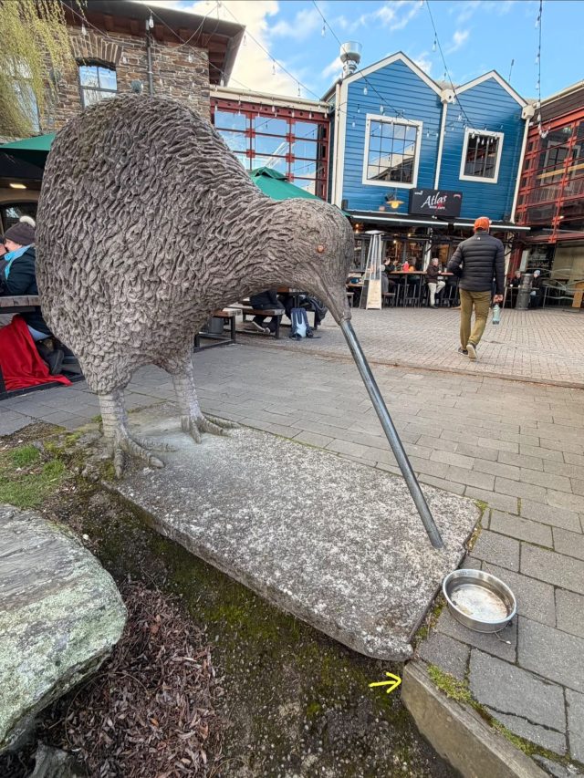Hand-painted penguin stone #1447 hidden at Kiwi Statue, Queenstown, New Zealand (photo 5 of 5)