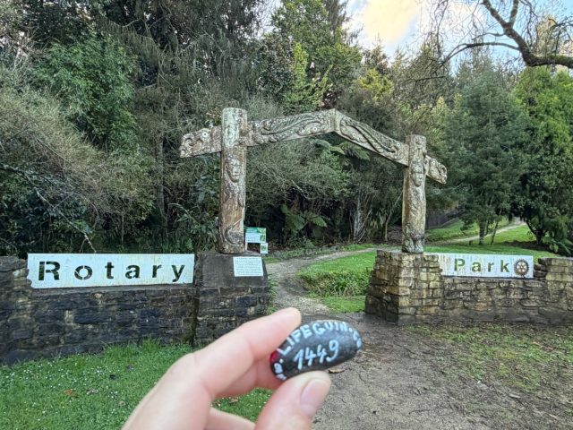Hand-painted penguin stone #1449 hidden at Rotary Redwood Park, Otorohanga, New Zealand (photo 2 of 5)