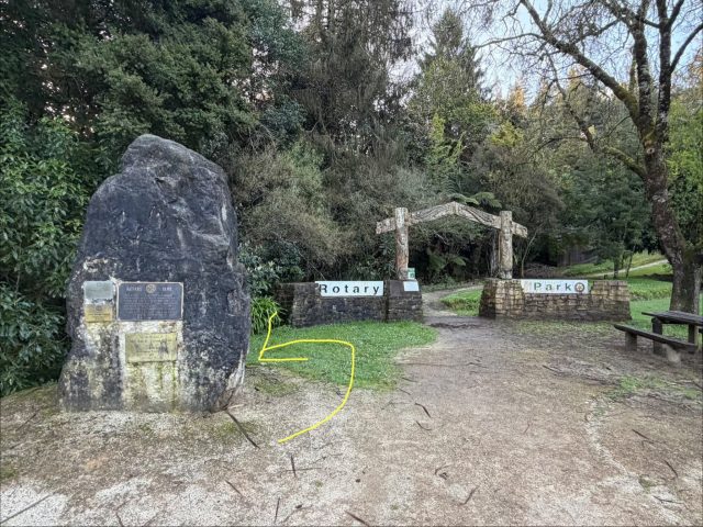 Hand-painted penguin stone #1449 hidden at Rotary Redwood Park, Otorohanga, New Zealand (photo 4 of 5)