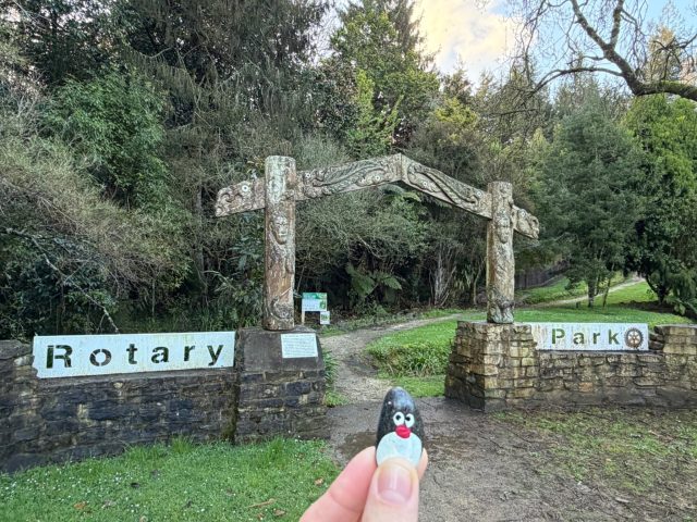 Hand-painted penguin stone #1449 hidden at Rotary Redwood Park, Otorohanga, New Zealand