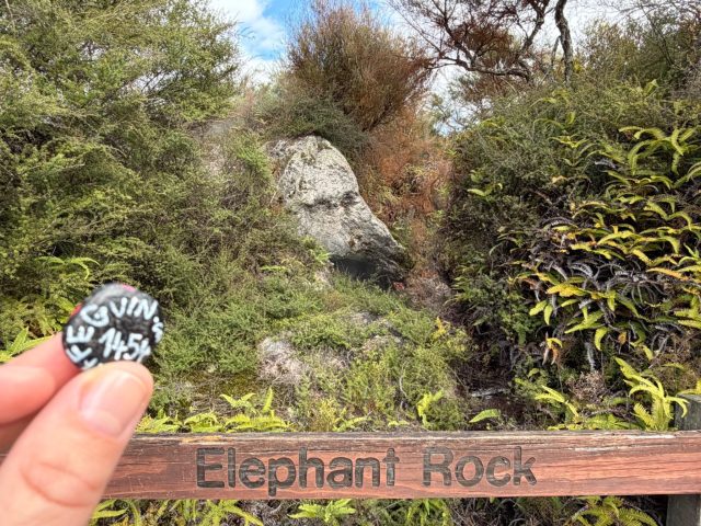 Hand-painted penguin stone #1454 hidden at Orakei Korako Geothermal Park & Cave, Lake Ohakuri, New Zealand (photo 3 of 5)