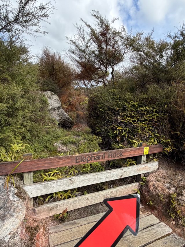Hand-painted penguin stone #1454 hidden at Orakei Korako Geothermal Park & Cave, Lake Ohakuri, New Zealand (photo 5 of 5)