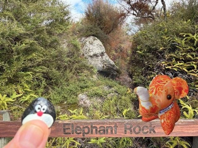 Hand-painted penguin stone #1454 hidden at Orakei Korako Geothermal Park & Cave, Lake Ohakuri, New Zealand