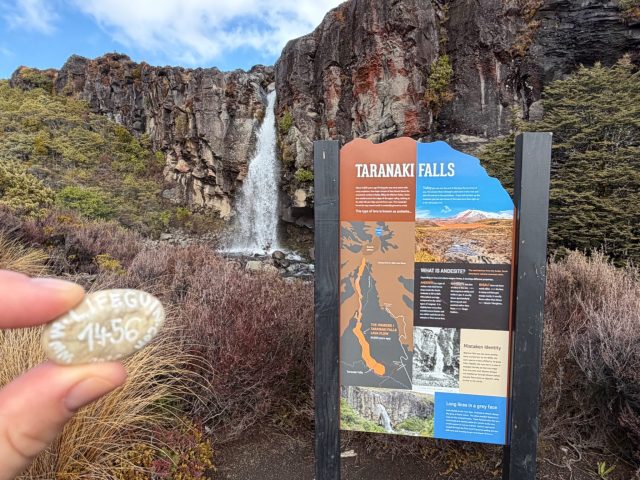Hand-painted penguin stone #1456 hidden at Taranaki Falls, Tongariro National Park, New Zealand (photo 2 of 4)