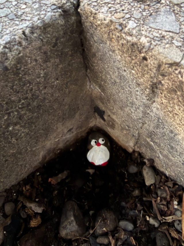 Hand-painted penguin stone #1459 hidden at Kupe Raiatea, Wellington, New Zealand (photo 3 of 5)