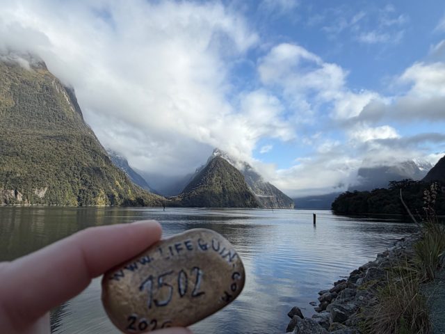 Hand-painted penguin stone #1502 hidden at Milford Sound Breakwater Walkway Lookout, Milford Sound, New Zealand (photo 2 of 5)