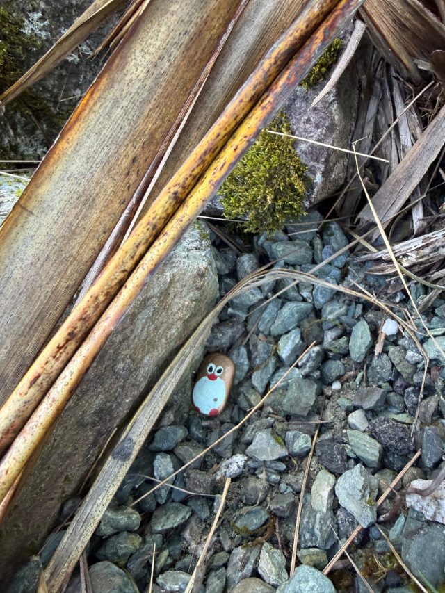 Hand-painted penguin stone #1502 hidden at Milford Sound Breakwater Walkway Lookout, Milford Sound, New Zealand (photo 3 of 5)