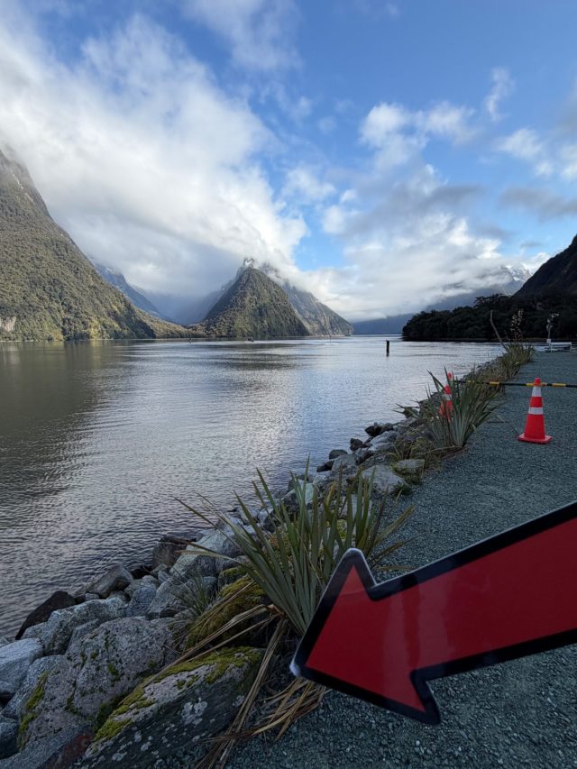 Hand-painted penguin stone #1502 hidden at Milford Sound Breakwater Walkway Lookout, Milford Sound, New Zealand (photo 4 of 5)