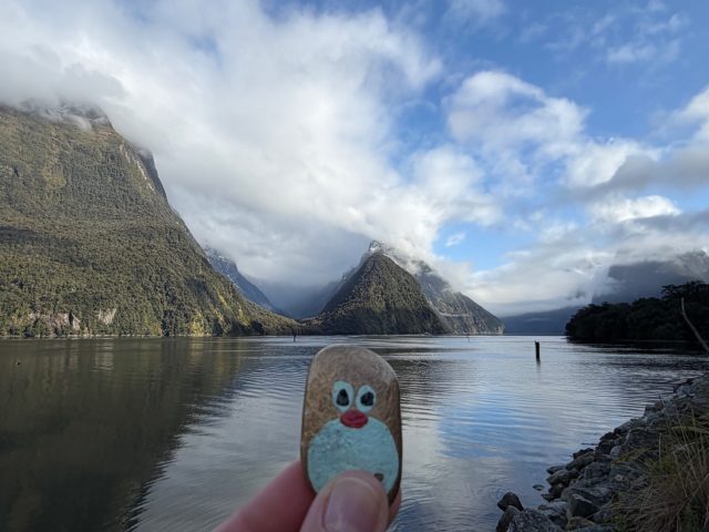 Hand-painted penguin stone #1502 hidden at Milford Sound Breakwater Walkway Lookout, Milford Sound, New Zealand