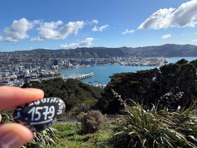 Hand-painted penguin stone #1579 hidden at Mount Victoria Lookout, Wellington, New Zealand (photo 2 of 5)