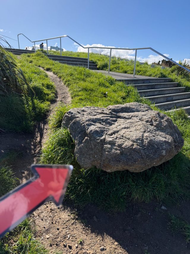 Hand-painted penguin stone #1579 hidden at Mount Victoria Lookout, Wellington, New Zealand (photo 5 of 5)