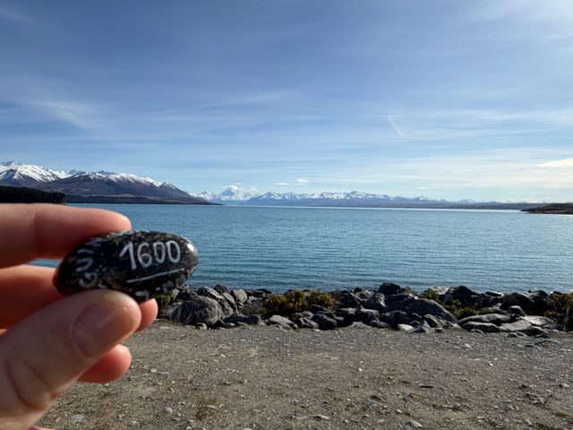 Hand-painted penguin stone #1600 hidden at Lake Pukaki View Point, Lake Pukaki, New Zealand (photo 2 of 5)