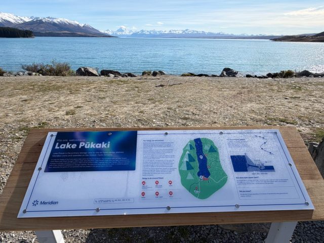 Hand-painted penguin stone #1600 hidden at Lake Pukaki View Point, Lake Pukaki, New Zealand (photo 3 of 5)