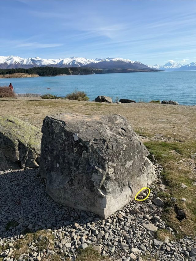 Hand-painted penguin stone #1600 hidden at Lake Pukaki View Point, Lake Pukaki, New Zealand (photo 4 of 5)