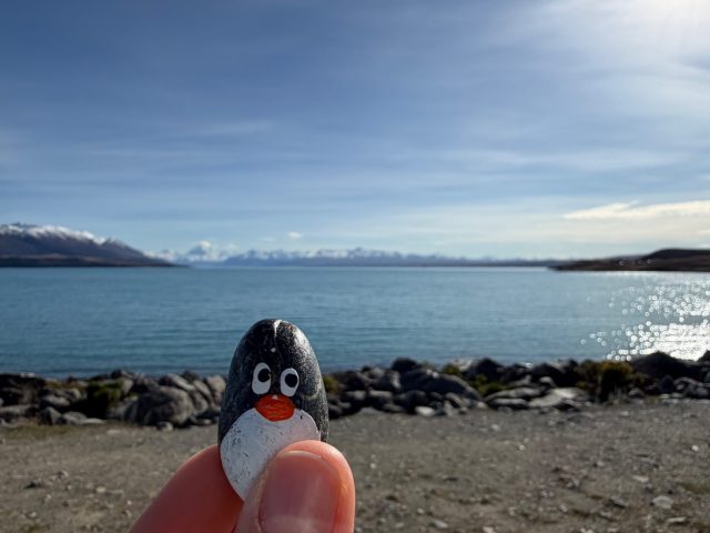 Hand-painted penguin stone #1600 hidden at Lake Pukaki View Point, Lake Pukaki, New Zealand