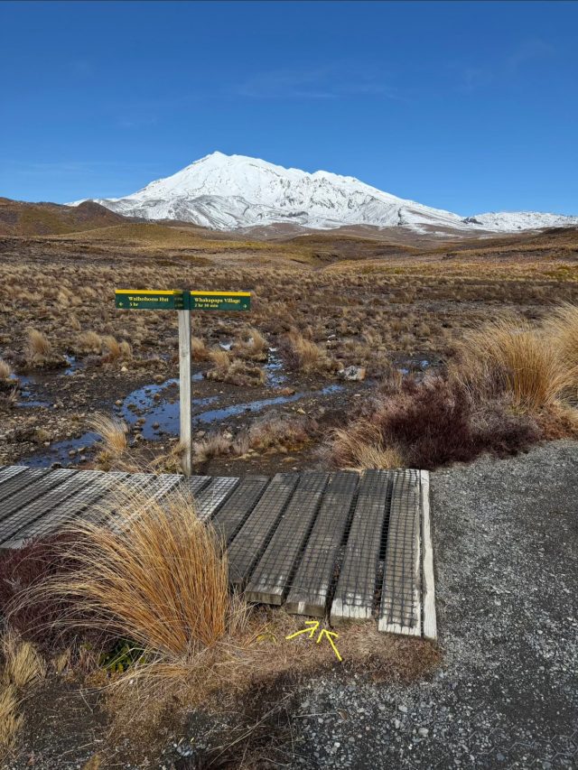 Hand-painted penguin stone #1601 hidden at By the road Cromarker, Tongariro National Park, New Zealand (photo 4 of 5)