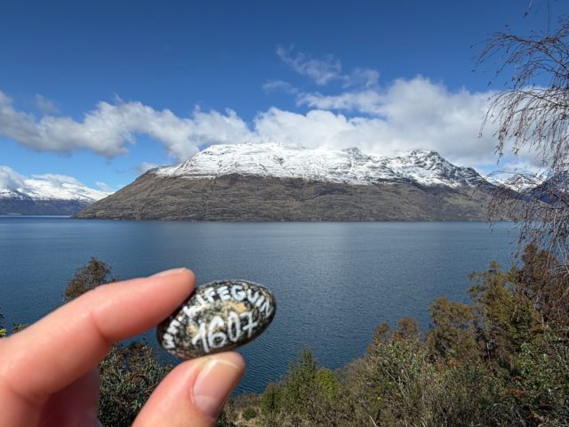Hand-painted penguin stone #1607 hidden at Gilly's Point, Queenstown, New Zealand (photo 2 of 5)
